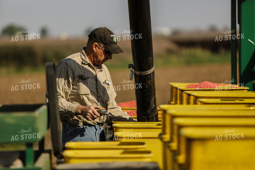 Planting 2879
