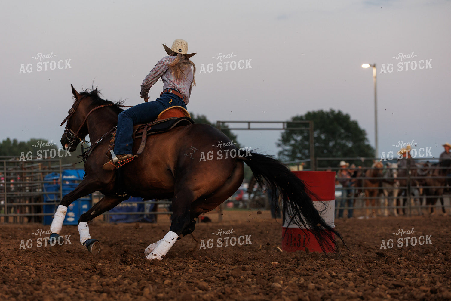 Rodeo 295152