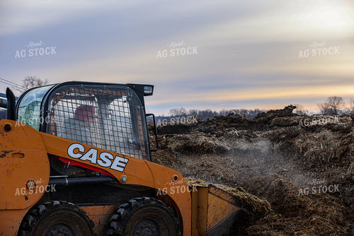 Feeding Cattle 160493