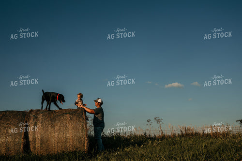 Farmer with Child and Dog Hay Bales 3170