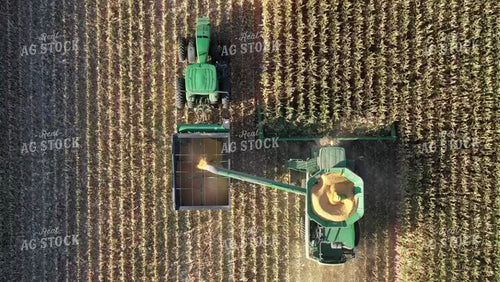 Harvesting Corn Drone 56318