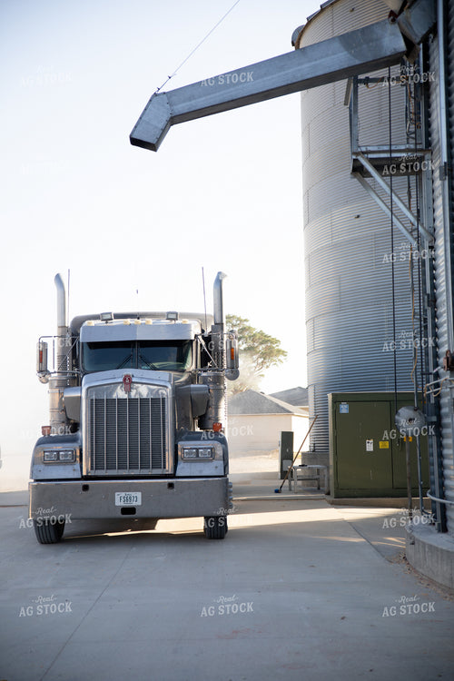 Semi Delivering Corn 286018