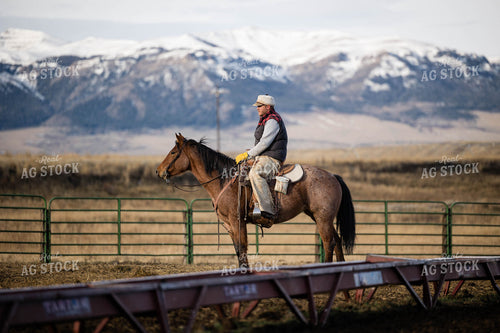 Rancher on Horseback 219062