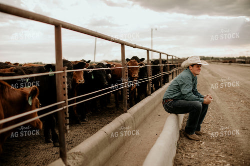 Feedyard 3041