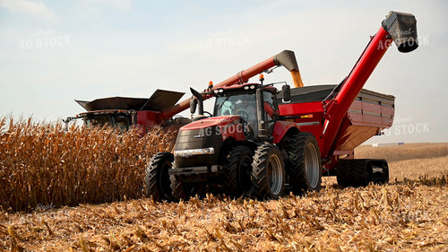 Combine Unloading Corn into Auger Wagon on the Go 25604
