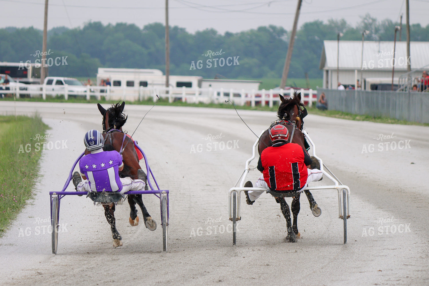 Harness Racing 109146