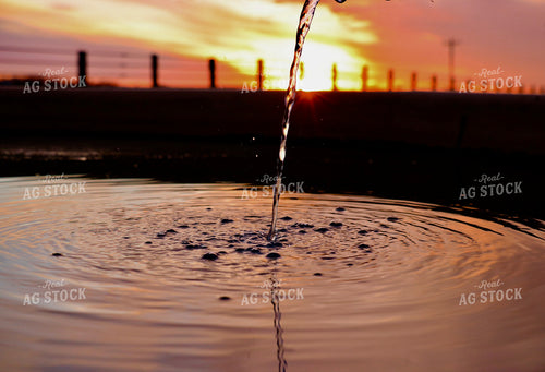 Filling Stock Tank with Water 299101