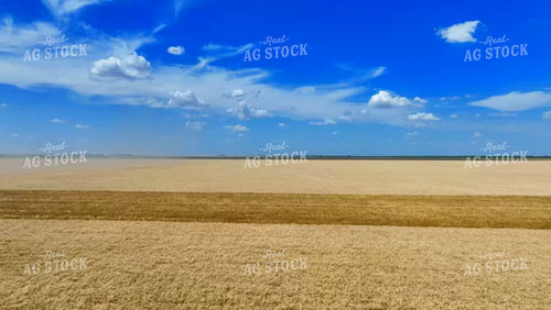 Aerial of Wheat Harvest 199071