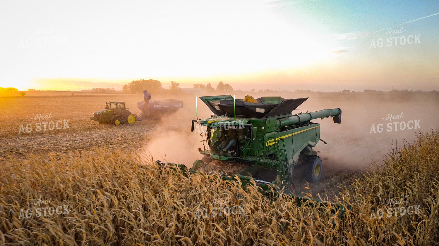 Corn Harvest 273014