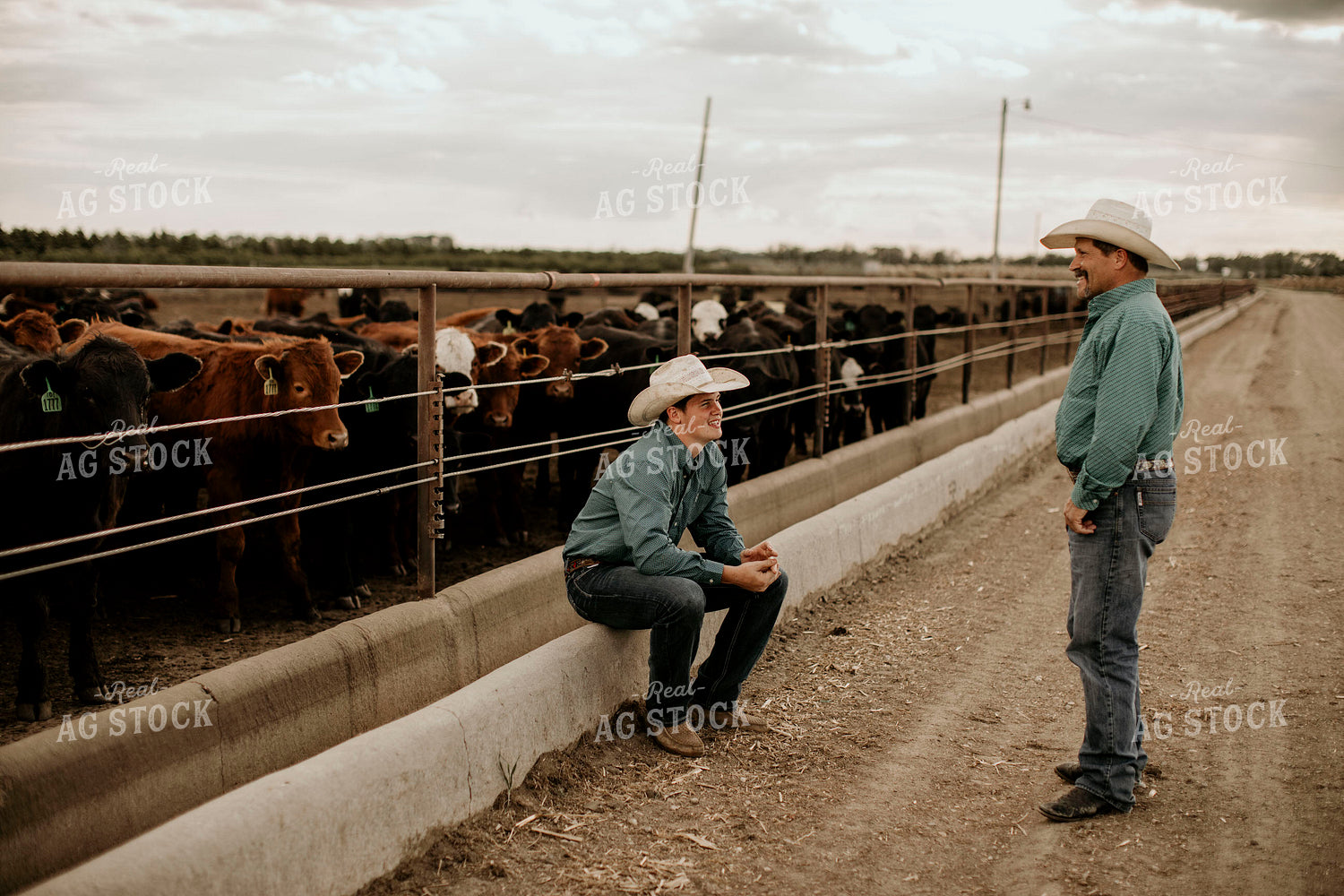 Feedyard 3044