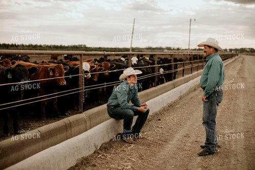 Feedyard 3044