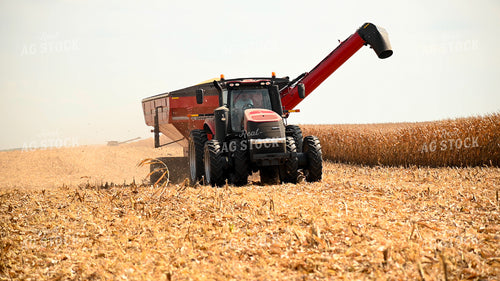 Auger Wagon Driving Through Corn Field 25600