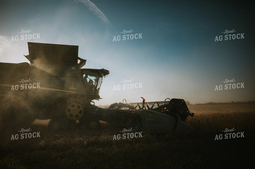 Soybean Harvest 7096
