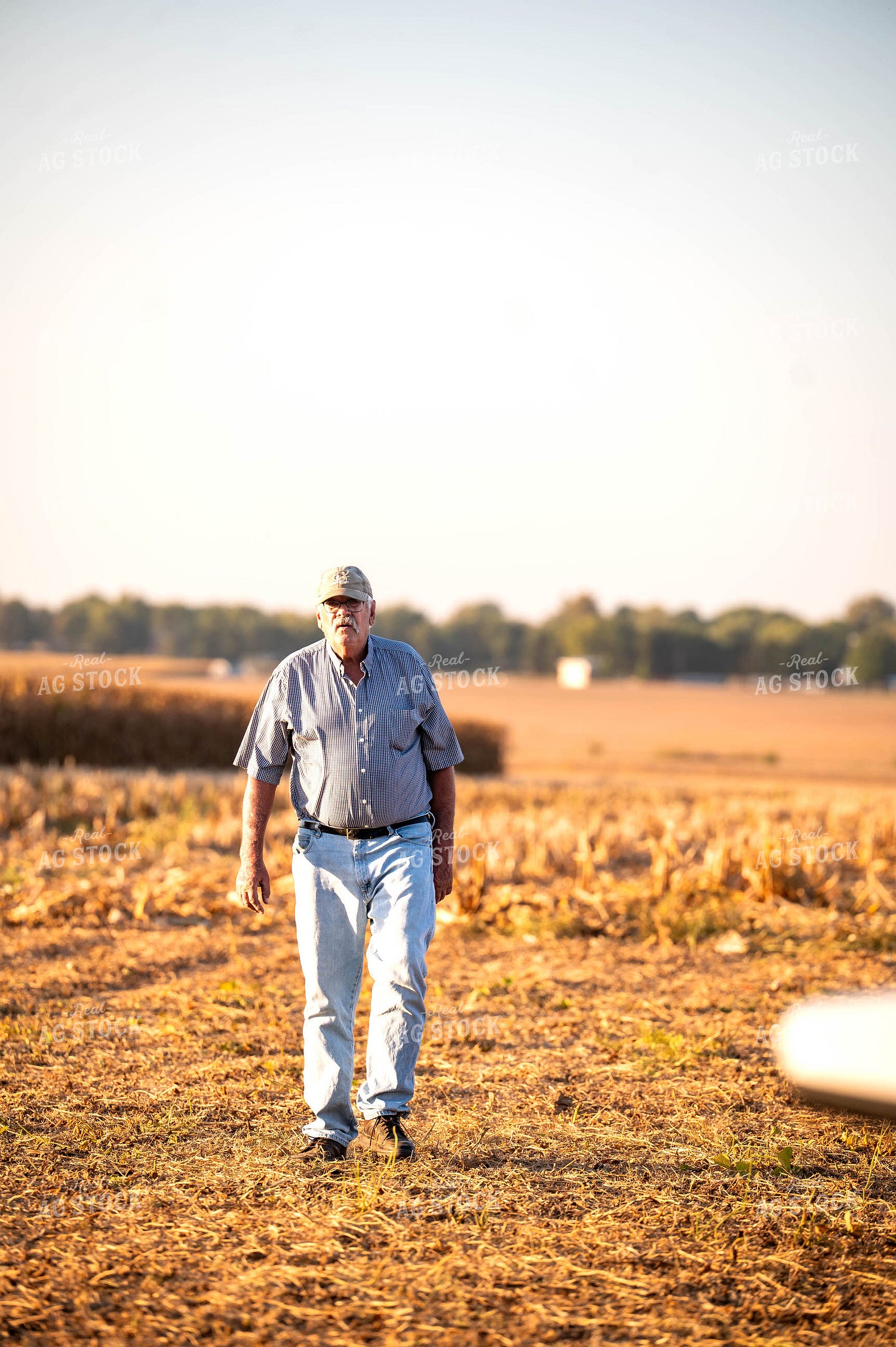 Farmers in Field 115874