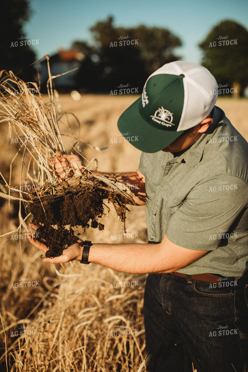 Farmer Agronomist Holding Soil in Soybean and Rye Cover Crop Field 5851