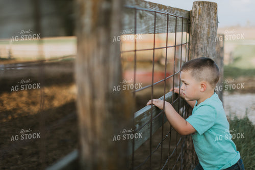 Farm Kid Looking Through Fence 7416