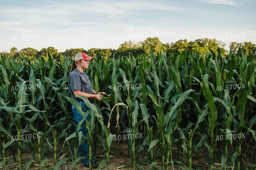 Female Farmer Checking Corn 115289
