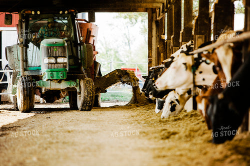 Dairy 2671