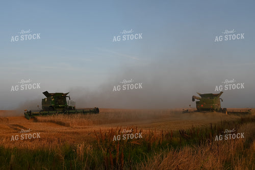 Wheat Harvest 149009