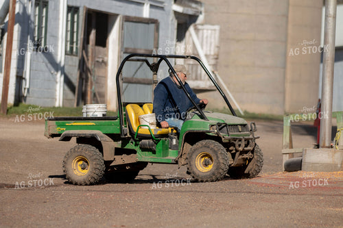 Driving Gator 157072