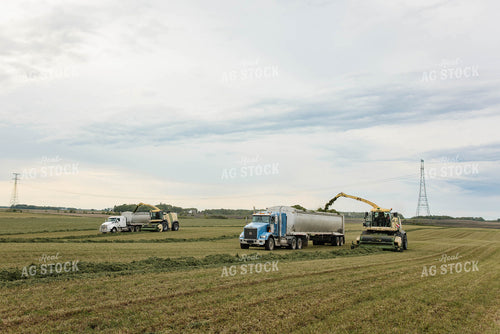 Harvesting Haylage 152800