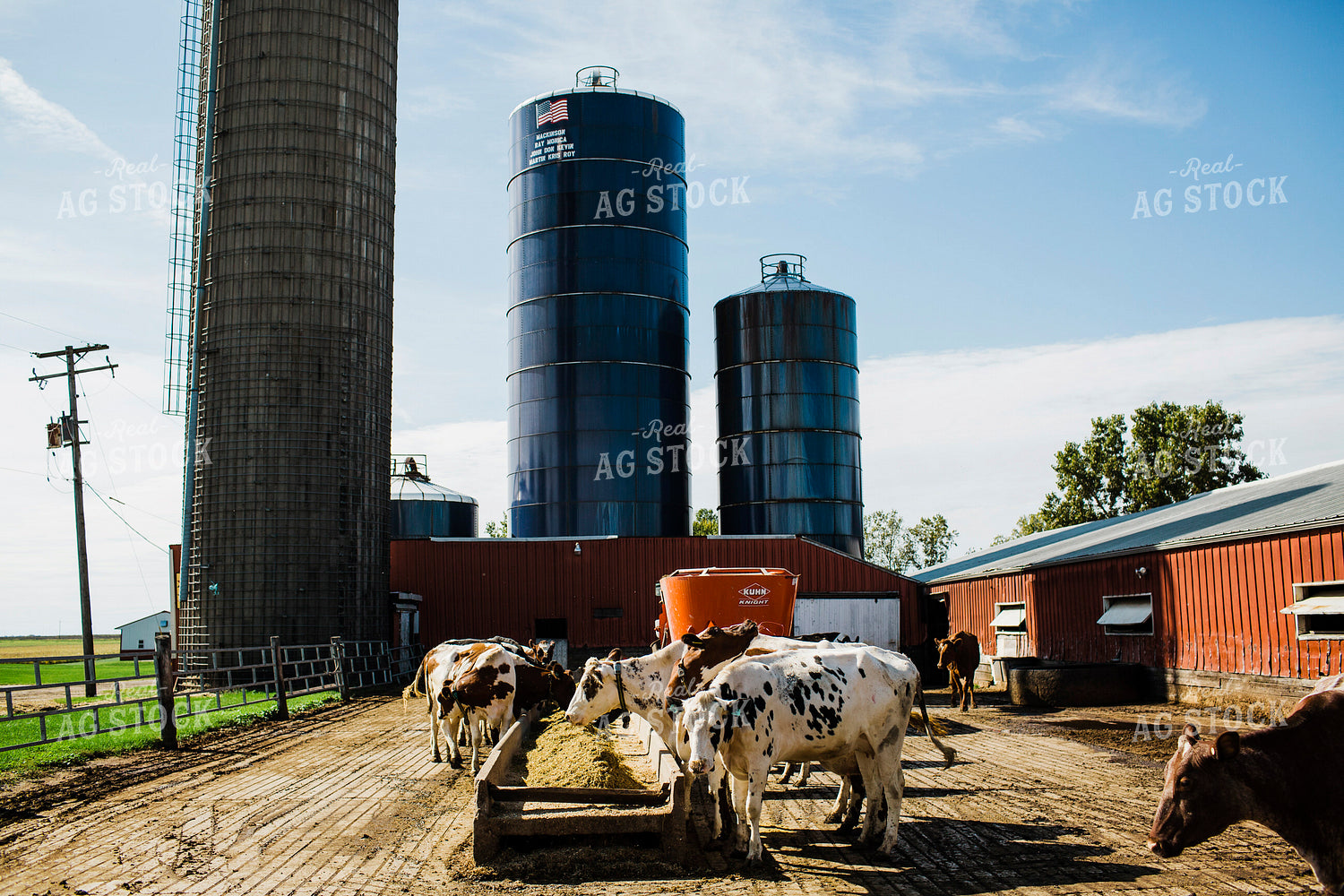 Dairy 2675