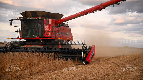 Combine Harvesting Soybeans 25726