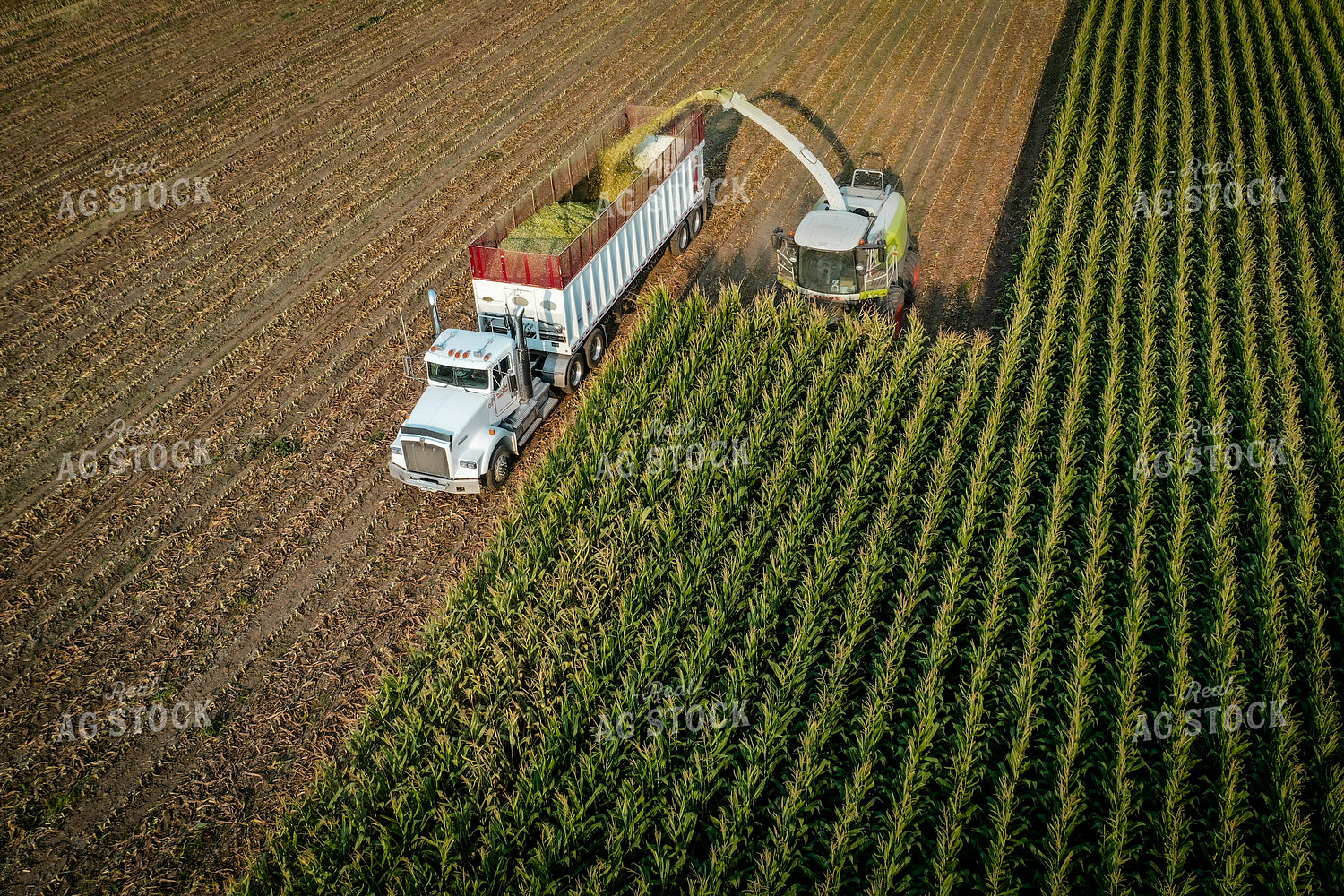 Silage Harvest Drone 56197