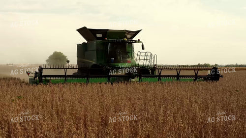 Soybean Harvest 287006