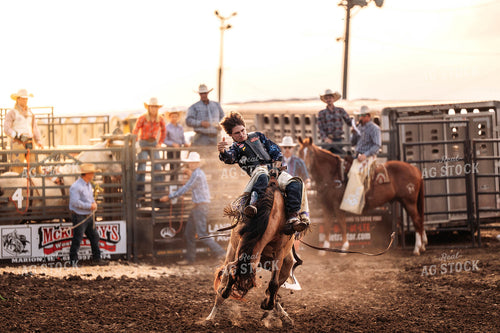 Rodeo 115785