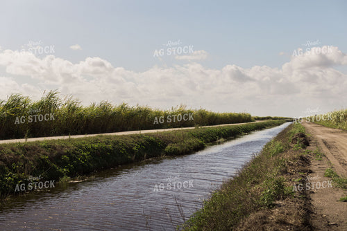 Rural Creek 7346