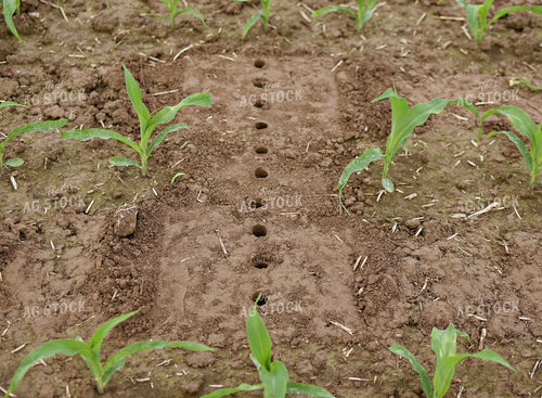 Soil Sampling 100064