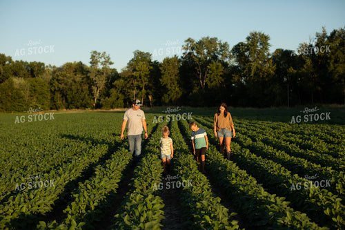 Farm Family Walking in Soybeans 6075