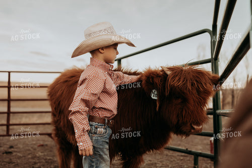 Farm Kid with Highland Calf 61222