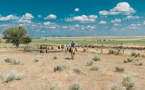 Rancher on Horseback 61004