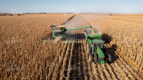 Corn Harvest 114015