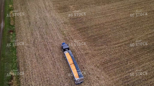 Corn Harvest 115201