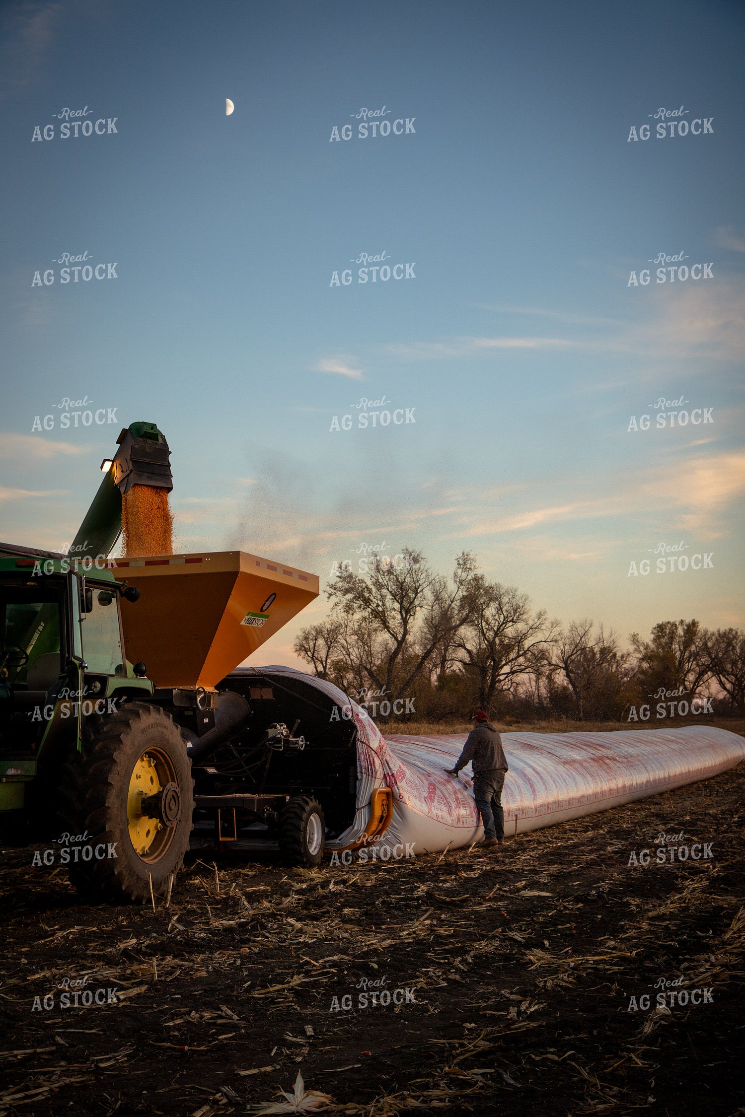 Bagging Harvested Corn 268255