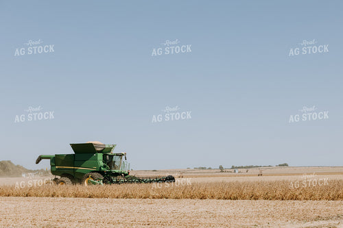 Soybean Harvest 77066