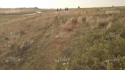 Ranchers on Horseback in Pasture Drone 6537