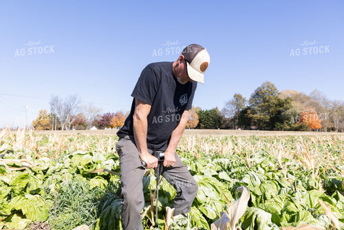 Agronomist Testing Soil Compaction 79837