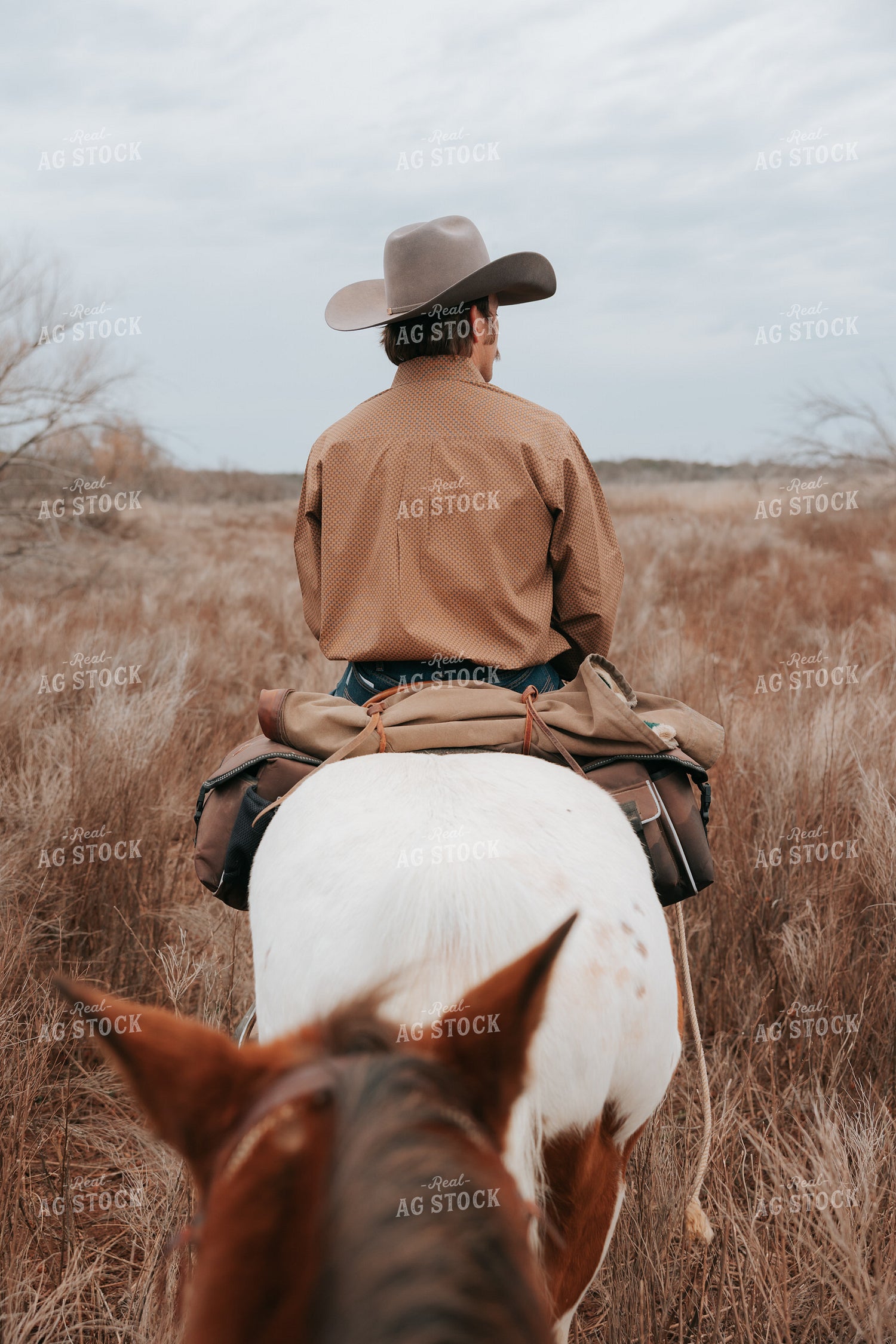 Cowboy on Horseback 205146