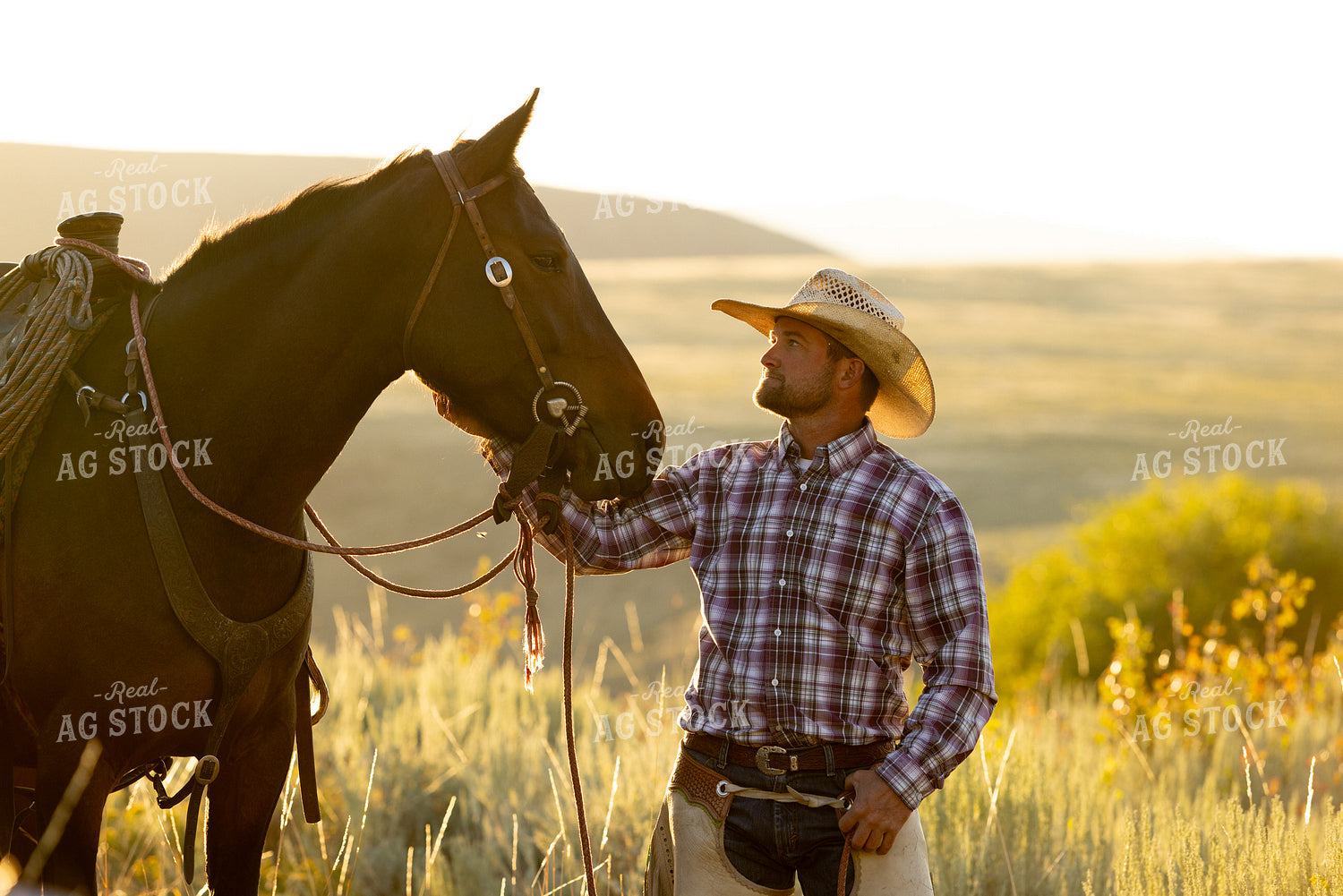 Cowboy with Horse 290045