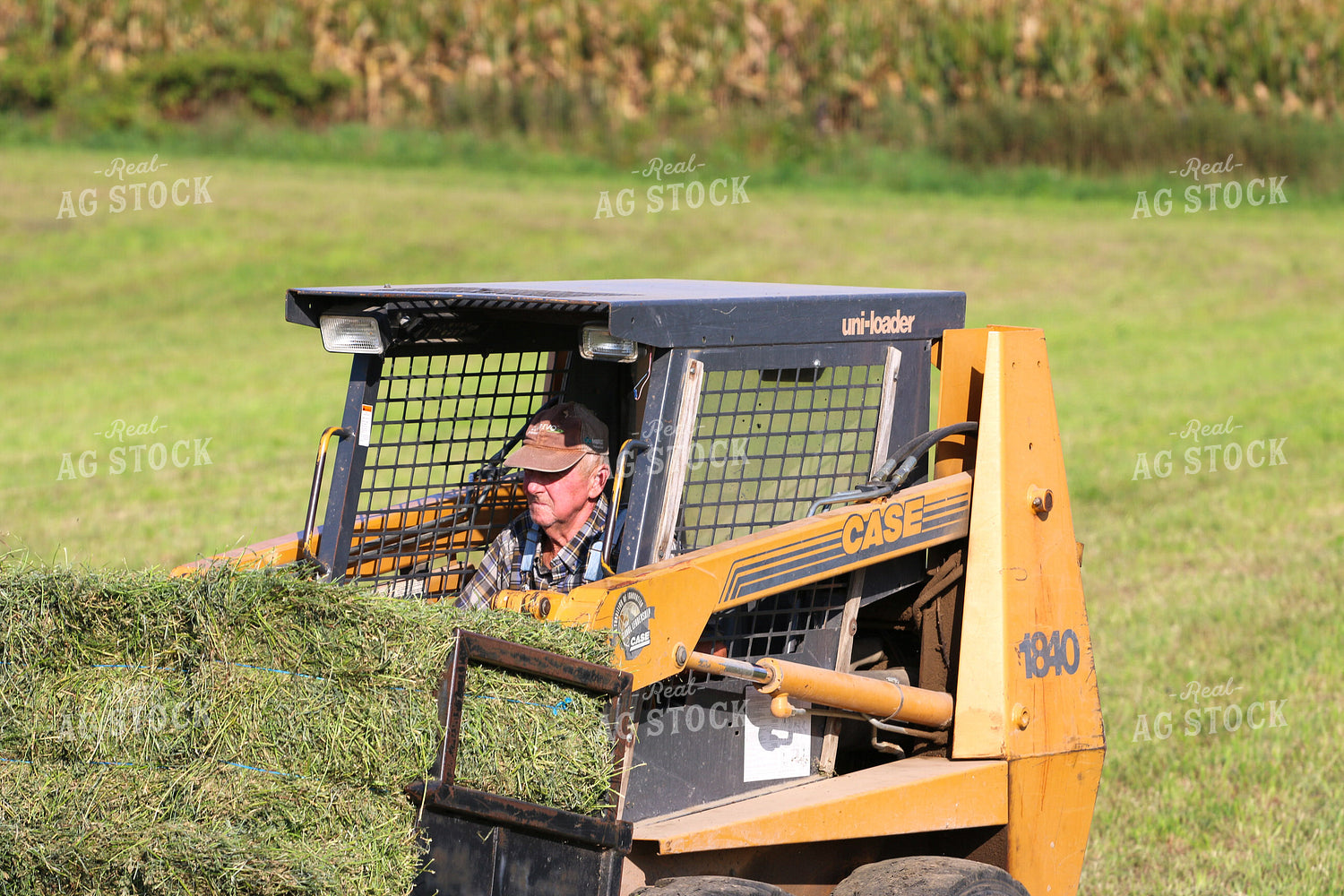 Harvesting Hay 160343