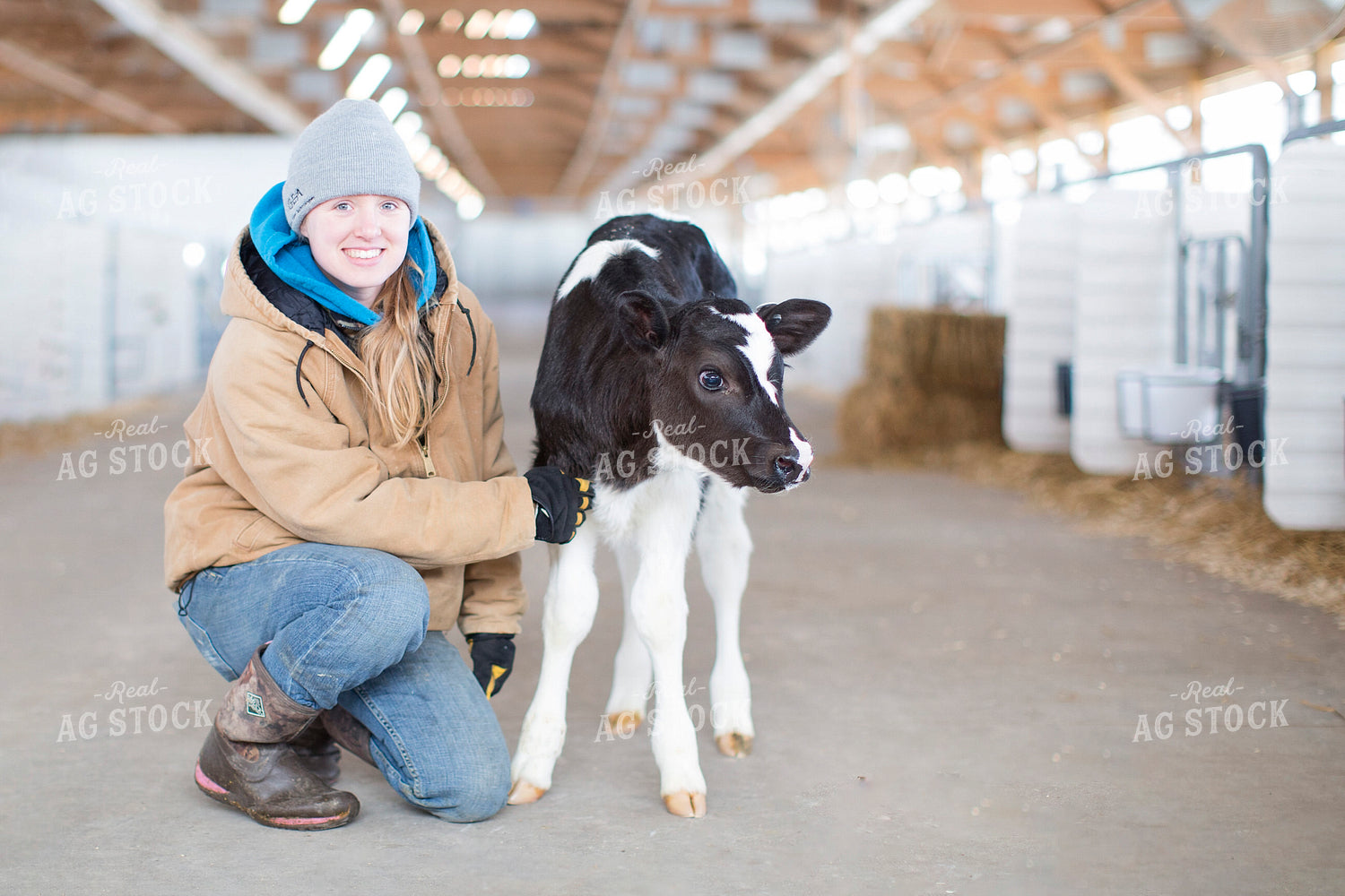 Female Farmer with Holstein Calf 55292