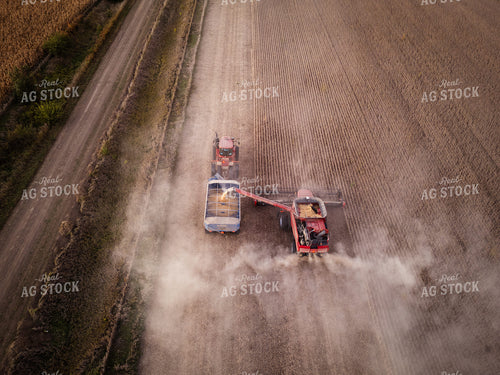 Soybean Harvest 67949