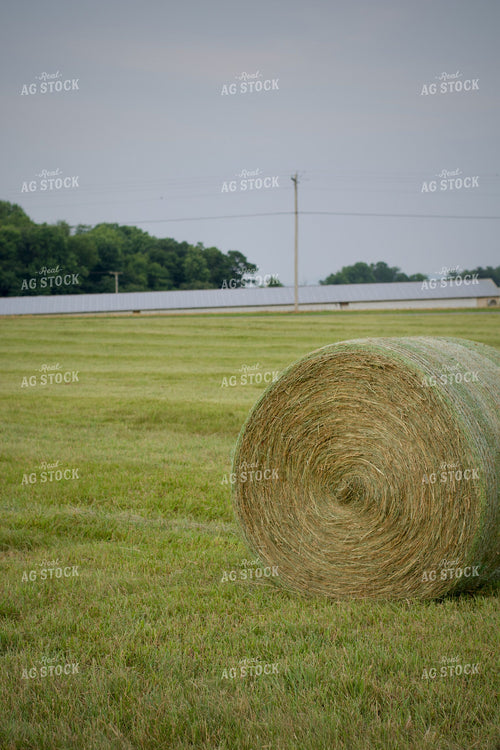 Round Hay Bales 251165