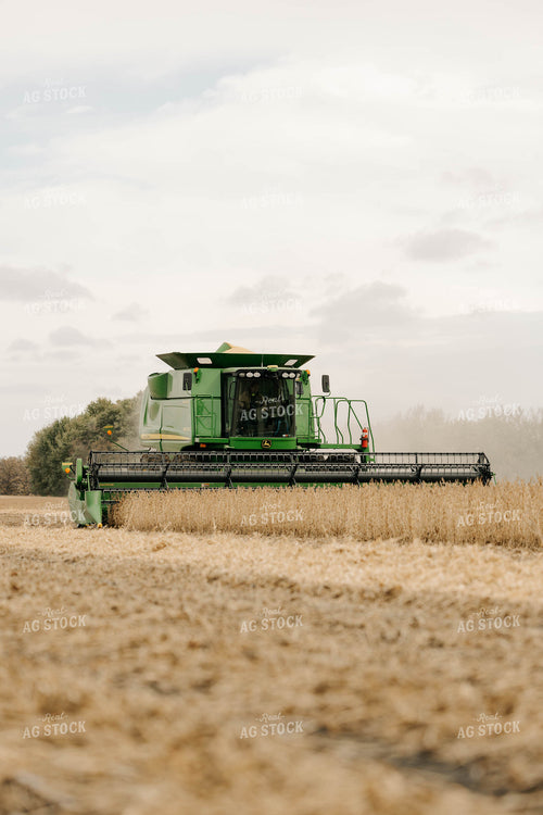 Harvesting Soybeans 152887