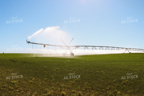 Irrigation System in Hay Field 83010