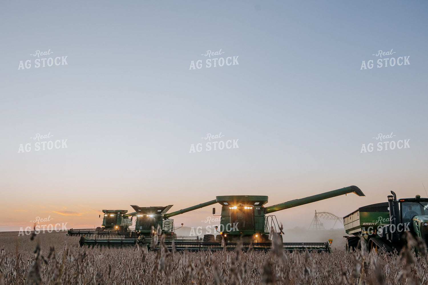Soybean Harvest 77296